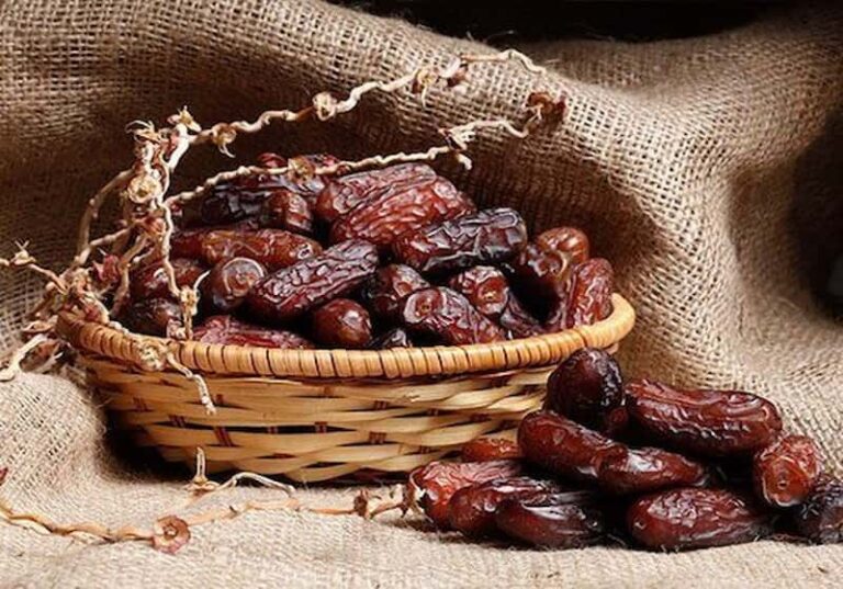 Harga Kurma: Technology’s Role in Date Palm Cultivation